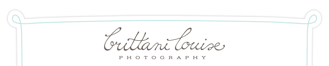 Brittani Louise Photography logo